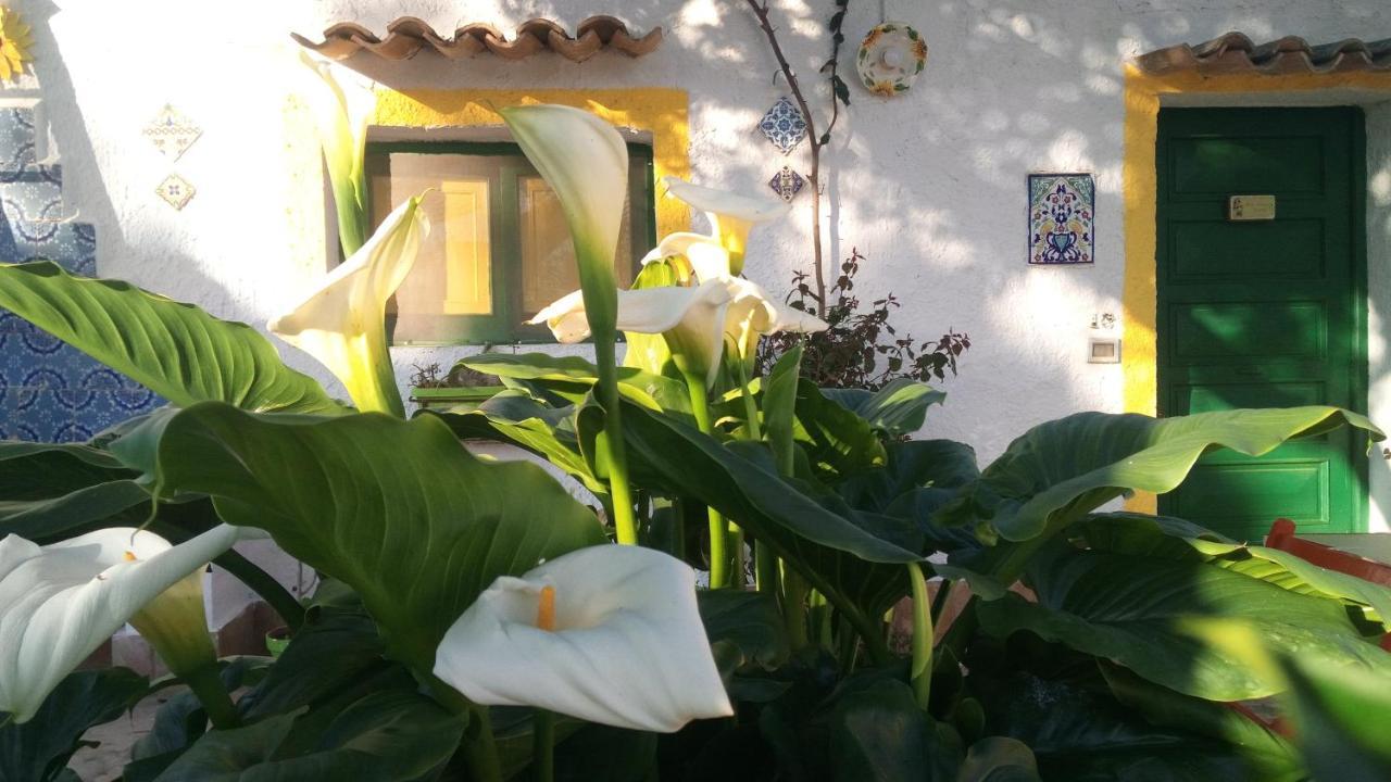Zagara Di Sicilia Villa Marsala Eksteriør bilde